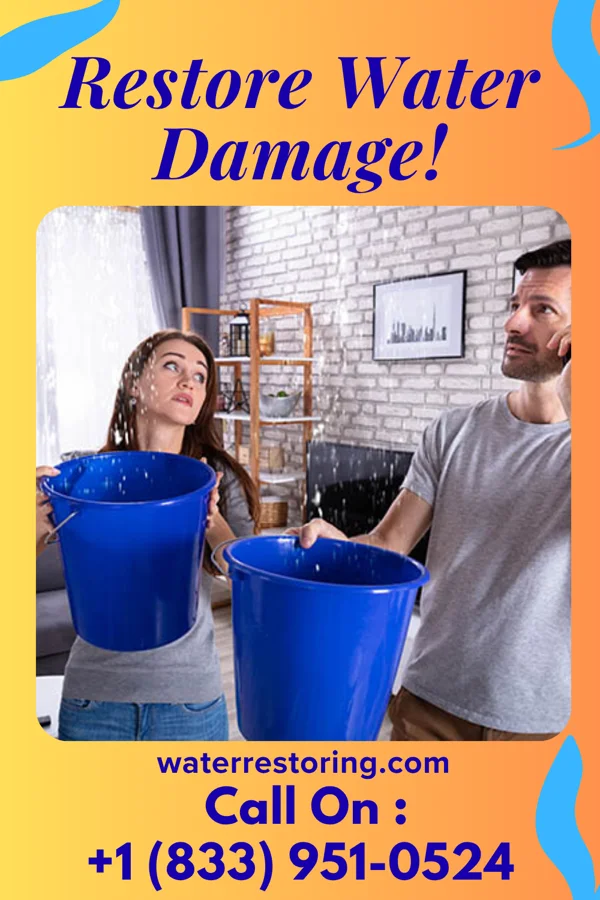 water restoration Sentinel Water Mitigation Pros Bloomfield
