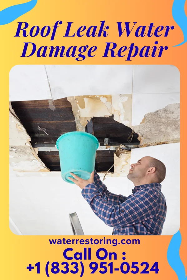 Roof Leak Water Damage Repair in Bloomfield, NE